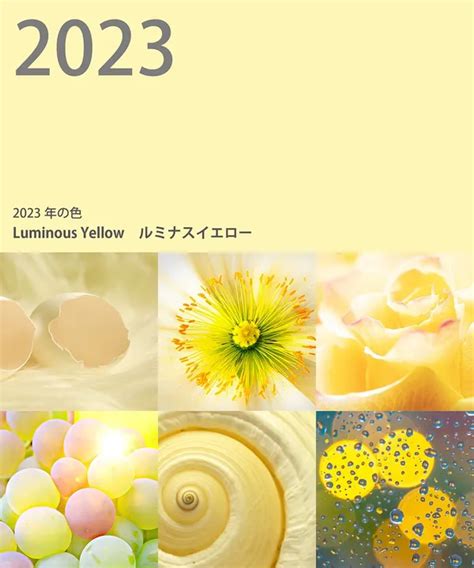 希望的顏色|2023年度代表色公布！日本色彩協會選出「這個顏色。